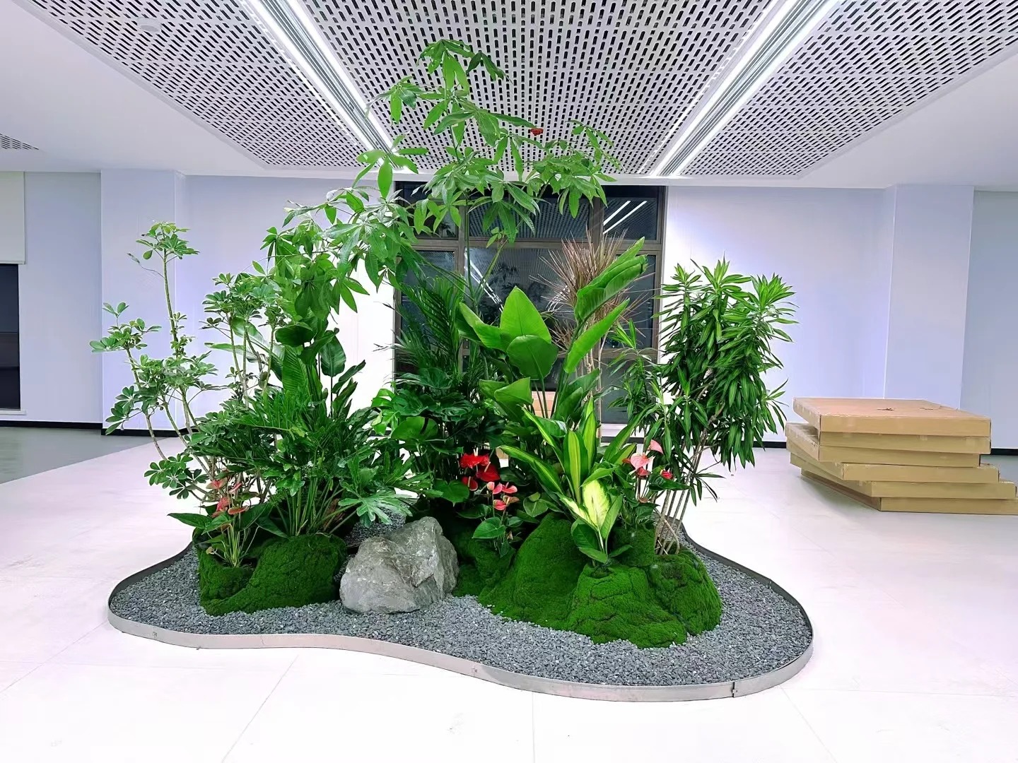 专业花木租赁,为宁波鄞州添绿彩