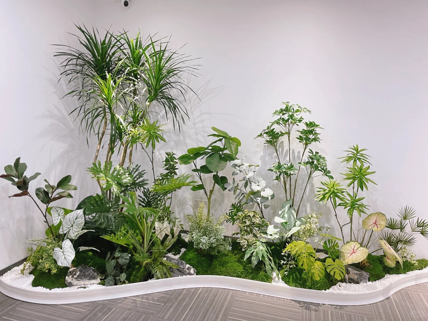 专业花木租赁,为宁波鄞州添绿彩